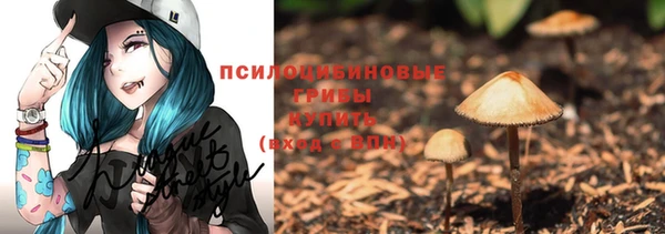 гидра Карталы