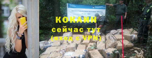 индика Кодинск