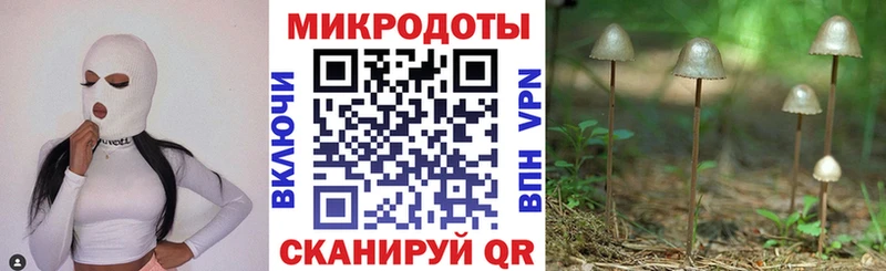 Псилоцибиновые грибы мицелий  Купить  Багратионовск 